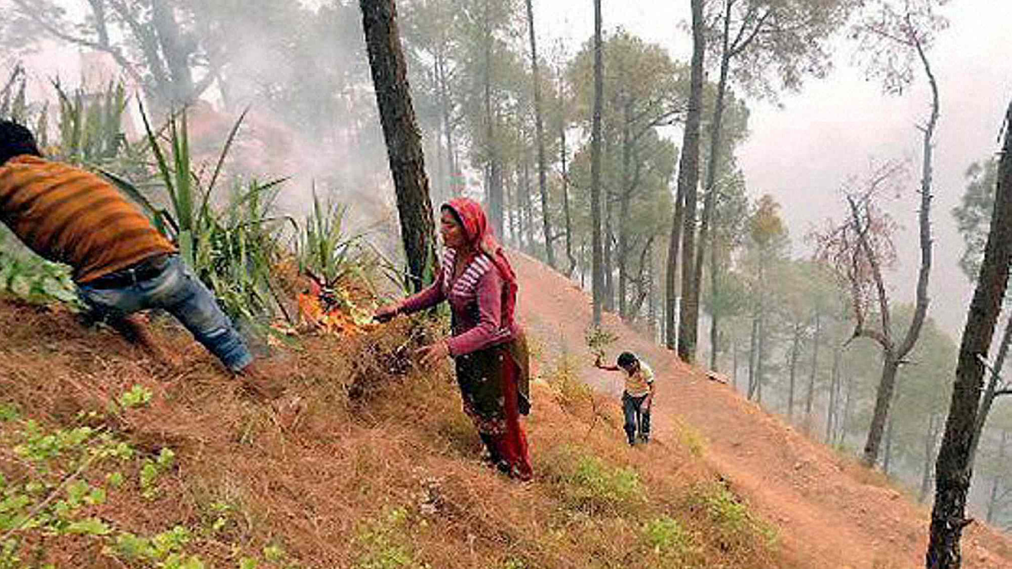Villagers try to shift to a safer place after a forest fire in Amola village in  Yamkeshwal in Uttarakhand. (Photo: PTI)