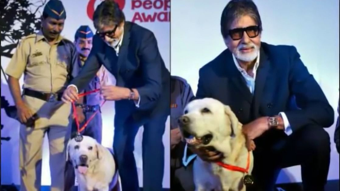 Amitabh Bachchan gives Max the Bolshoi medal (Photo Courtesy: <a href="https://youtu.be/8T3oEmUGzvQ">YouTube</a>)