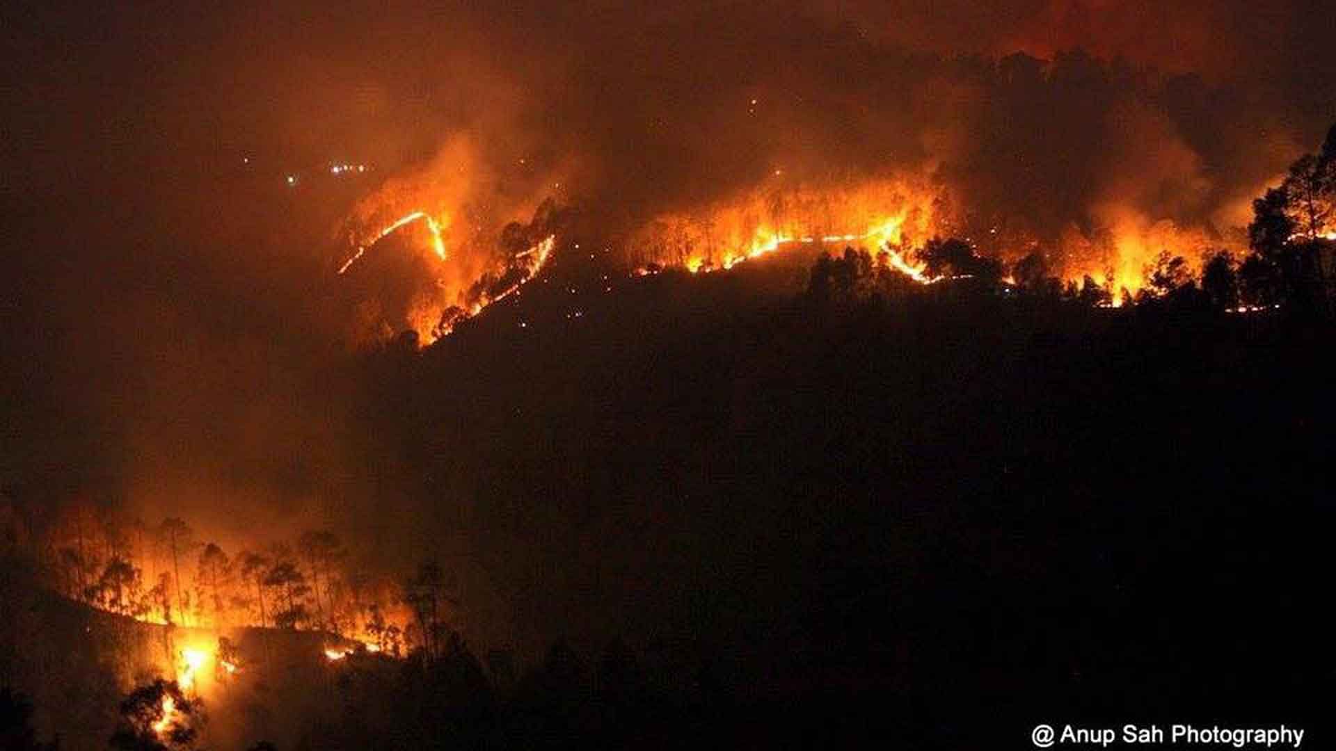 The Governor said all instructions given till now about forest fires must be followed strictly. (Photo: <a href="https://www.facebook.com/yla.smetacek/posts/10207779010246919?pnref=story">Facebook.com/ElaSmetack</a>)