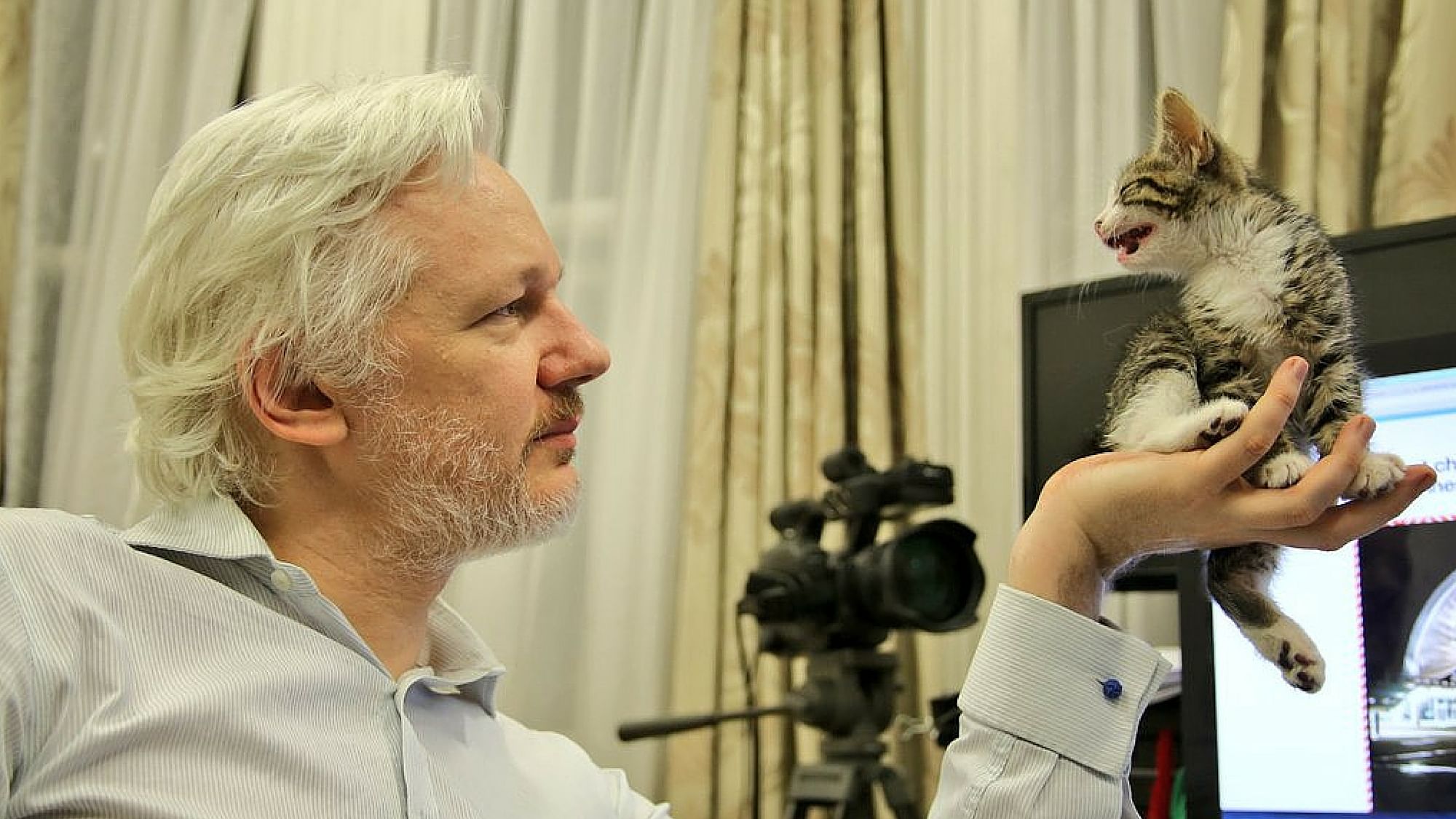 Julian Assange was arrested on 11 April by London Police from the Ecuadorian Embassy in London.