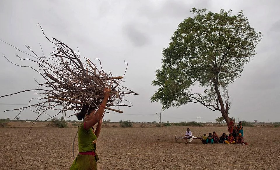 Prolonged dry spells in the Vidarbha region in Maharashtra triggered farmer suicides in the summer (Photo: AP)