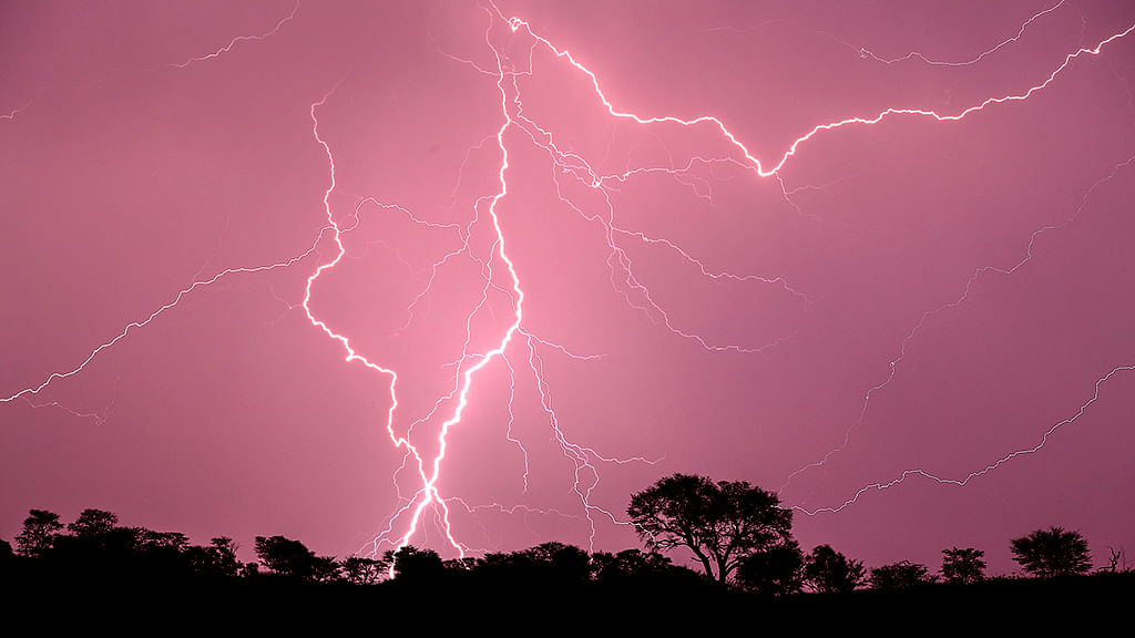 Lightning Strikes Kill 57 People in Bihar, 12 in Uttar Pradesh