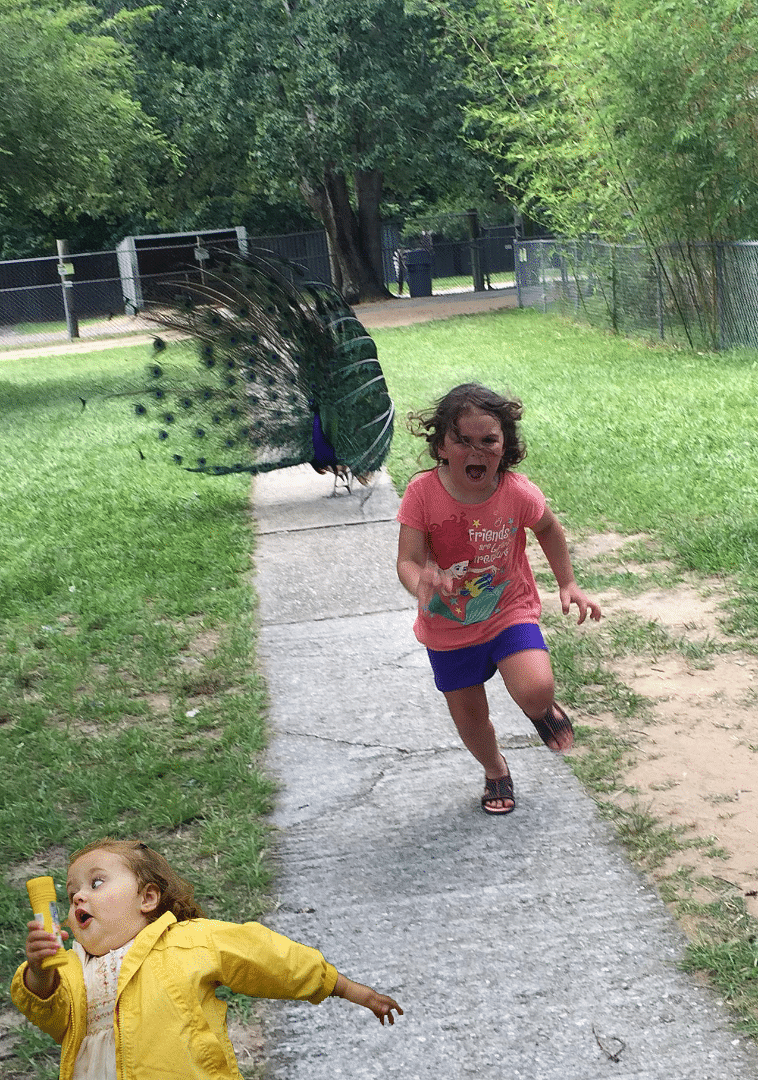 

The viral image has led to an intense Photoshop battle between various Reddit users.