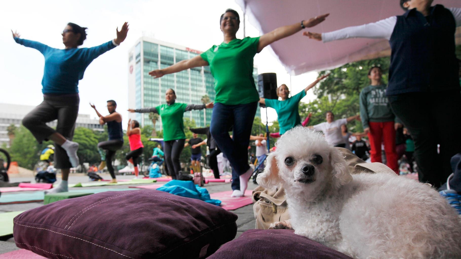 India is not the only country going crazy about International Yoga Day. (Photo: AP)
