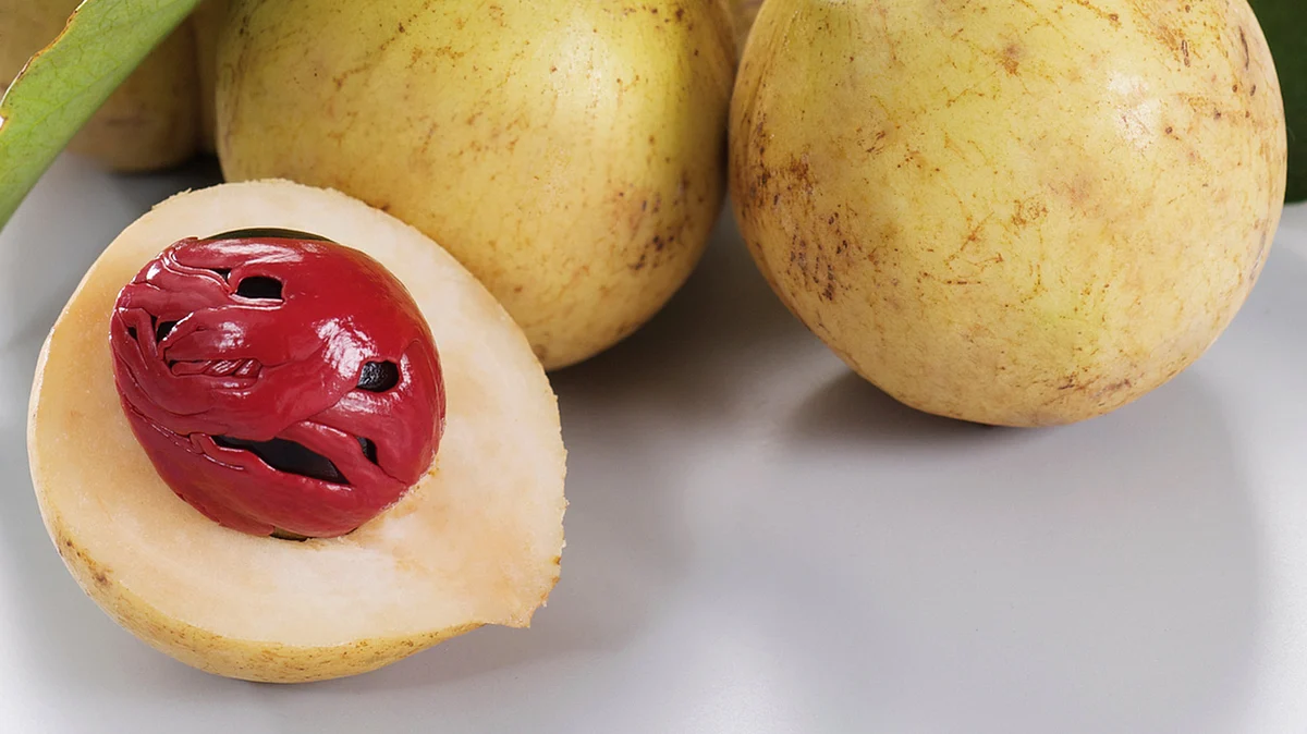 Yup, it’s sitting in your kitchen. And it’s what got your ancestors high. It was <i>also </i>used to cure asthma and heart disease. (Photo: iStockphoto)