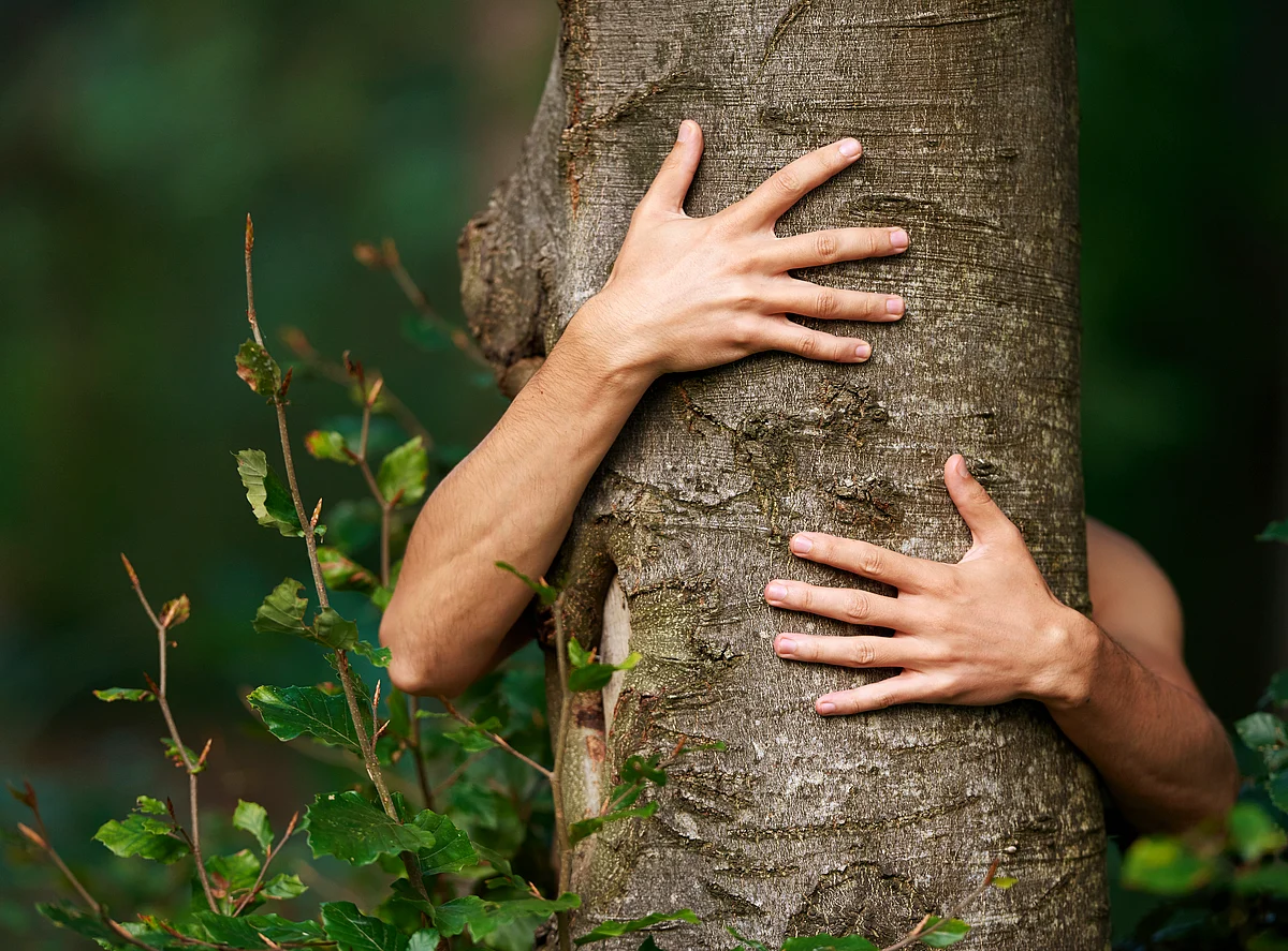 Many environmental activists died for their beliefs. (Photo: iStock)