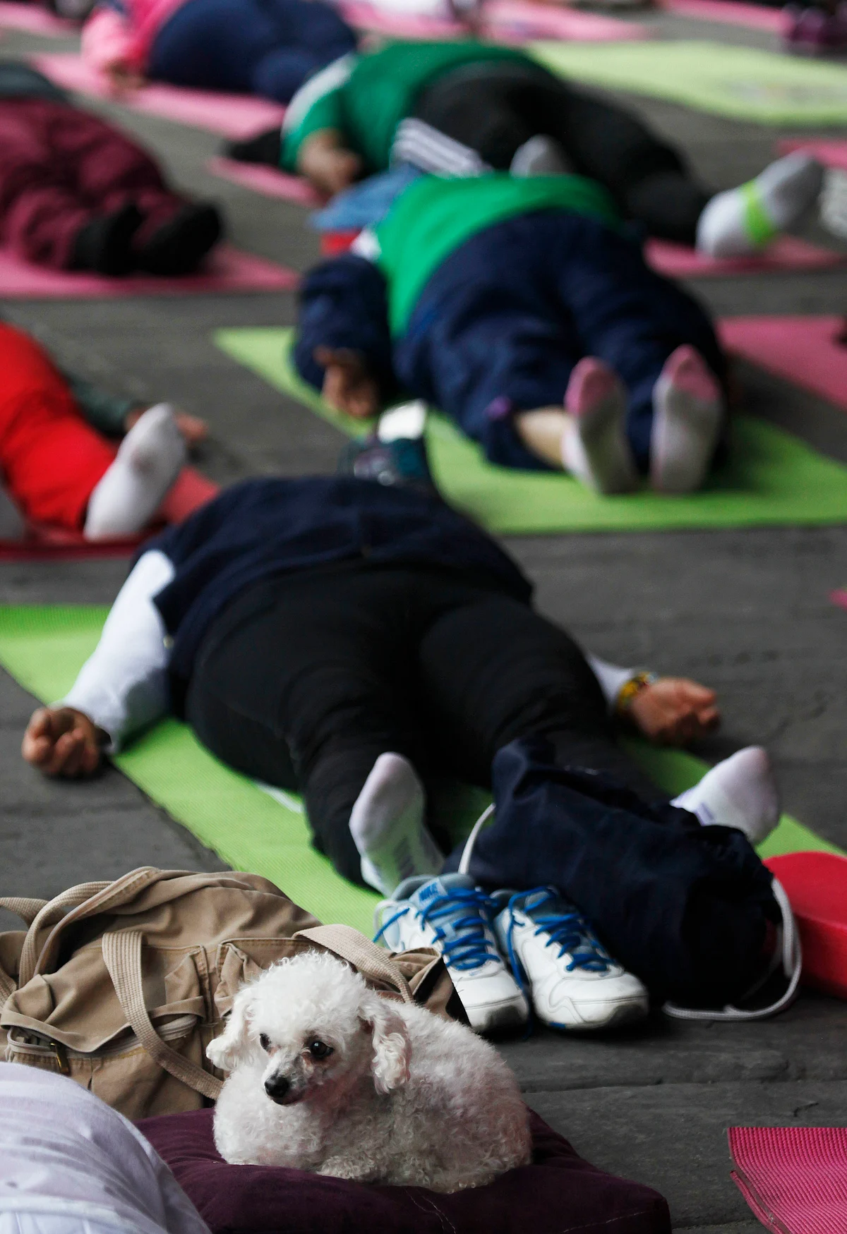 International Yoga Day celebrations in Mexico. (Photo: AP)