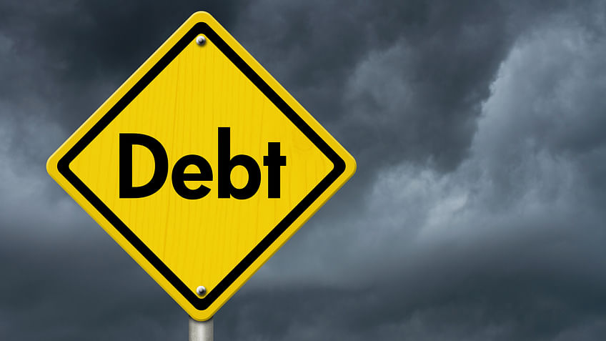 The external debt to GDP ratio stood at 23.7 per cent at end-March. (Photo: iStockPhoto)