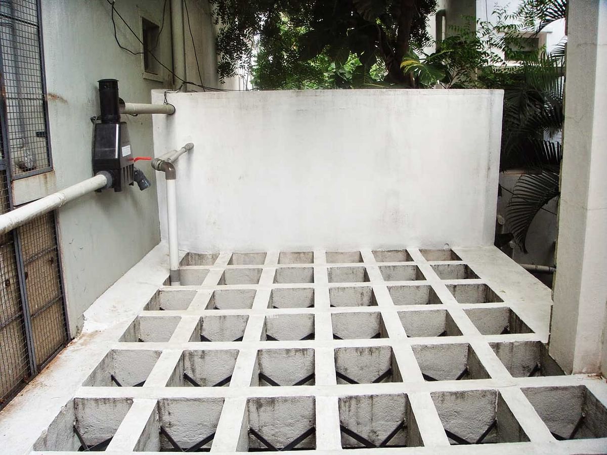 On World Water Day, try your hand at this easy DIY rainwater harvesting system.
