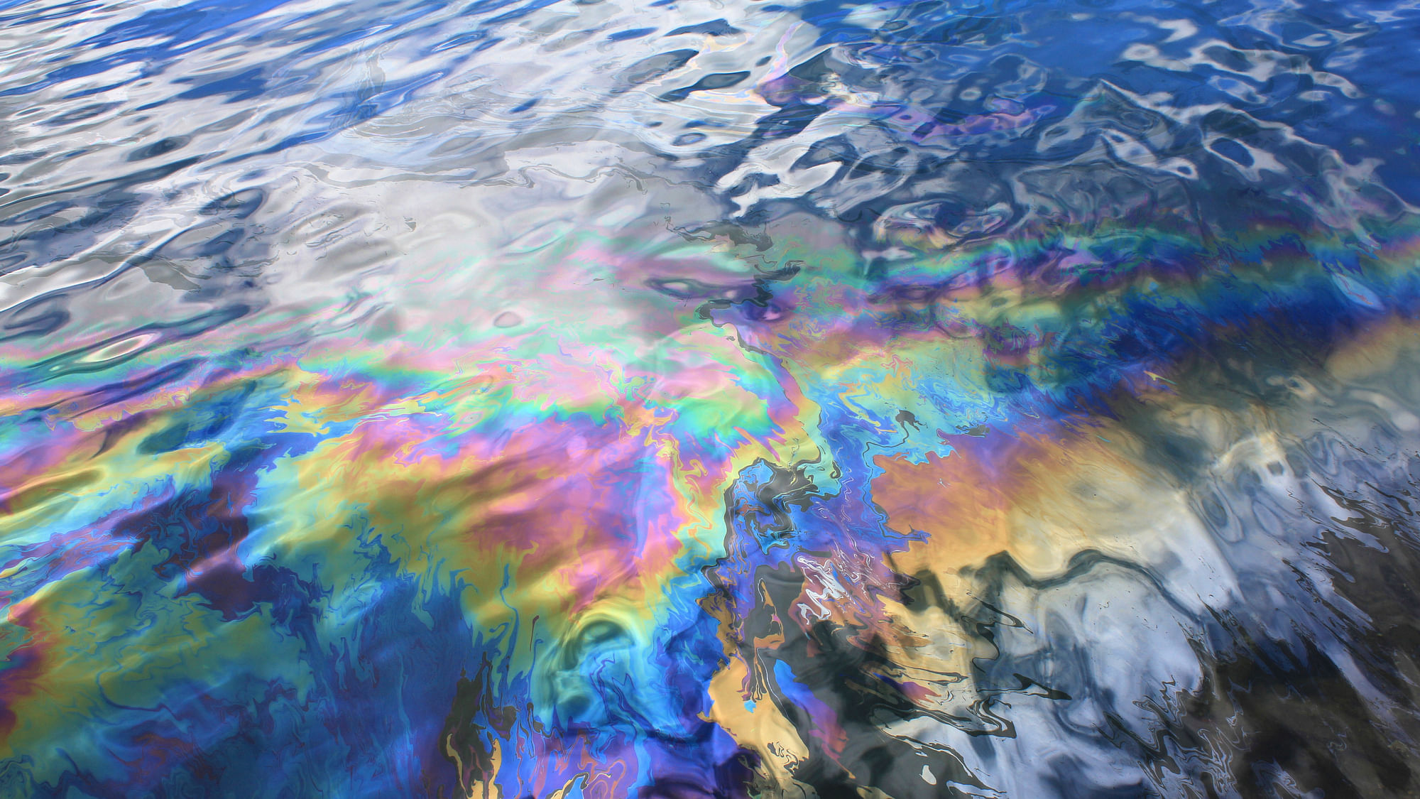 Bacteria could hold the key to addressing oil spills. (Photo: iStock)