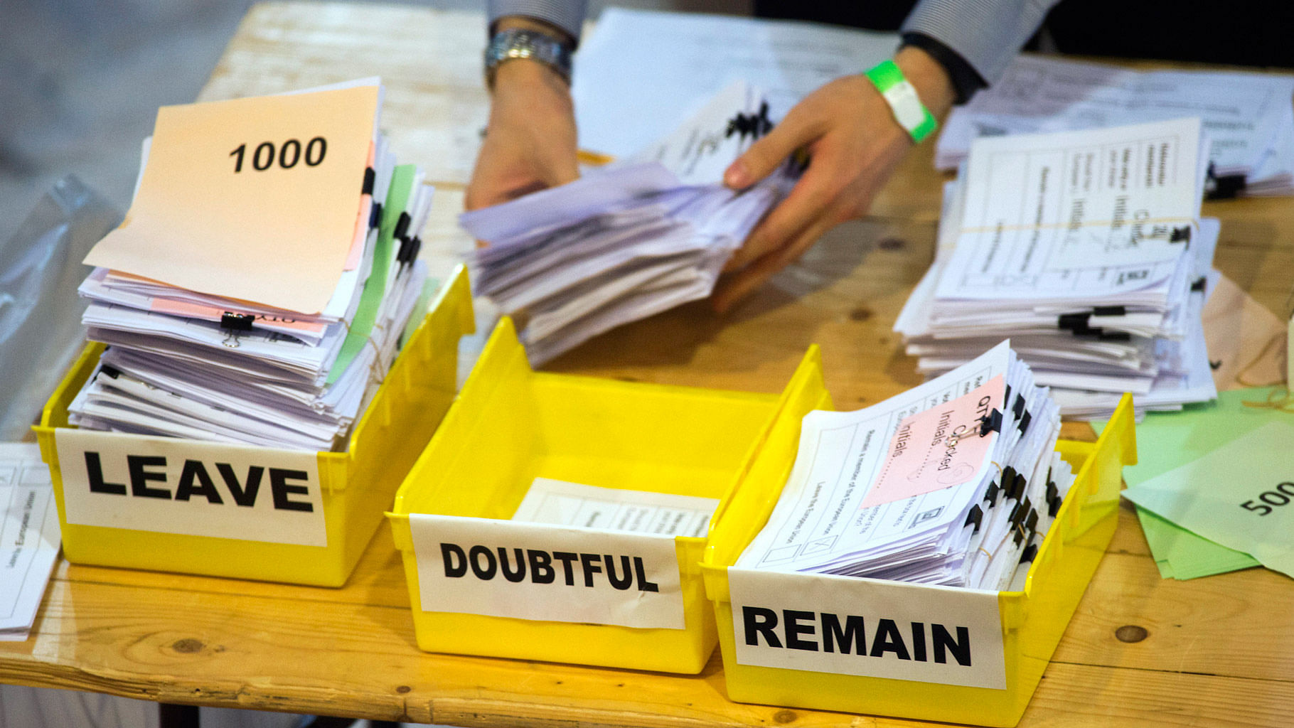 

Votes are sorted into remain, leave and doubtful trays as ballots are counted during the EU Referendum count  at the Lindley Hall in London, 24 June  2016. (Photo: AP)