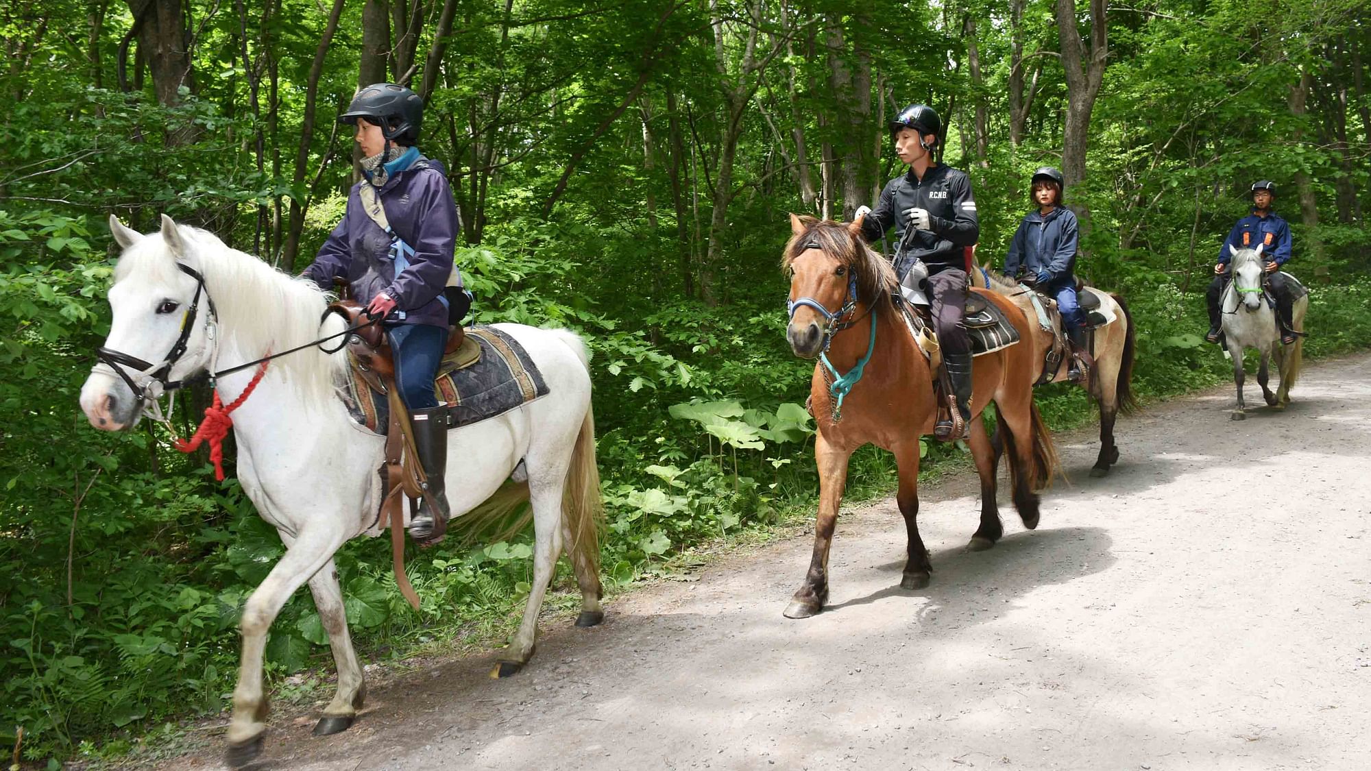 Rescuers on horses search for the missing 7-year-old boy in a Japanese forest on Hokkaido, Japan’s northernmost island. (Photo: AP)