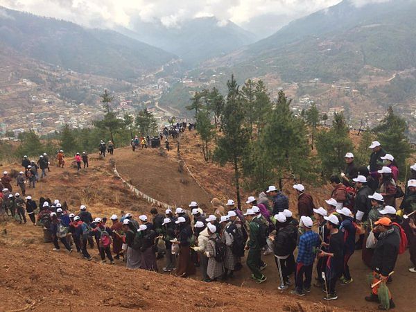 

A hundred women at Takila region of Bhutan planted 49,718 saplings on 1 June, 2016.