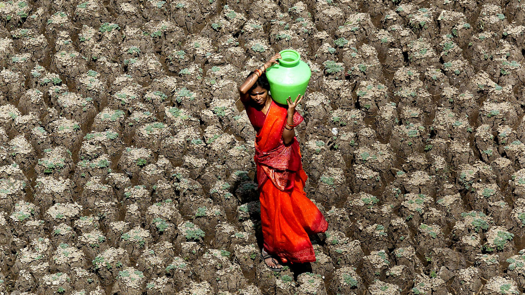 A woman carries water through a parched field in Hyderabad. (Photo: Reuters)