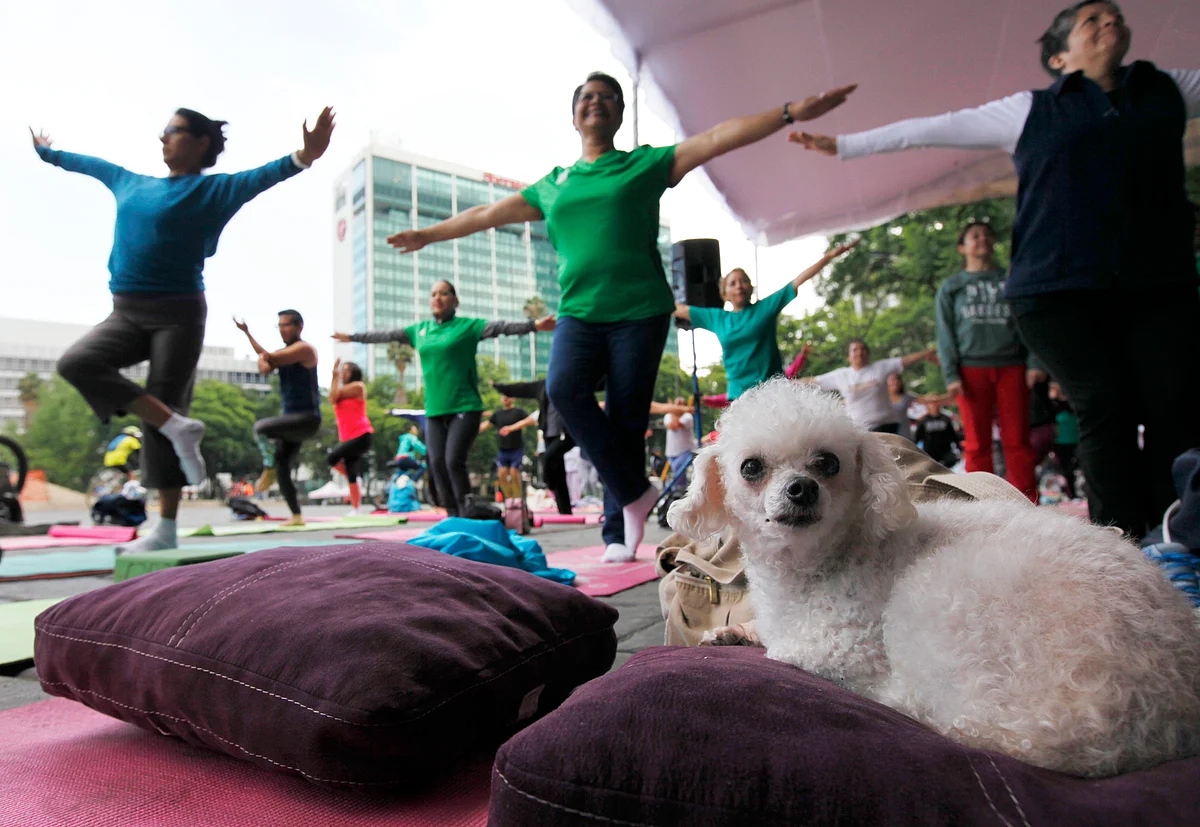 Yoga day session in Mexico. (Photo: AP)
