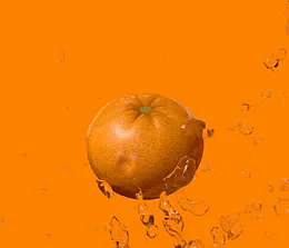 Besides giving you lots of vitamins, citrus fruits detoxify your liver which eases bloating. (Photo courtesy: Tumblr/@Powwell)