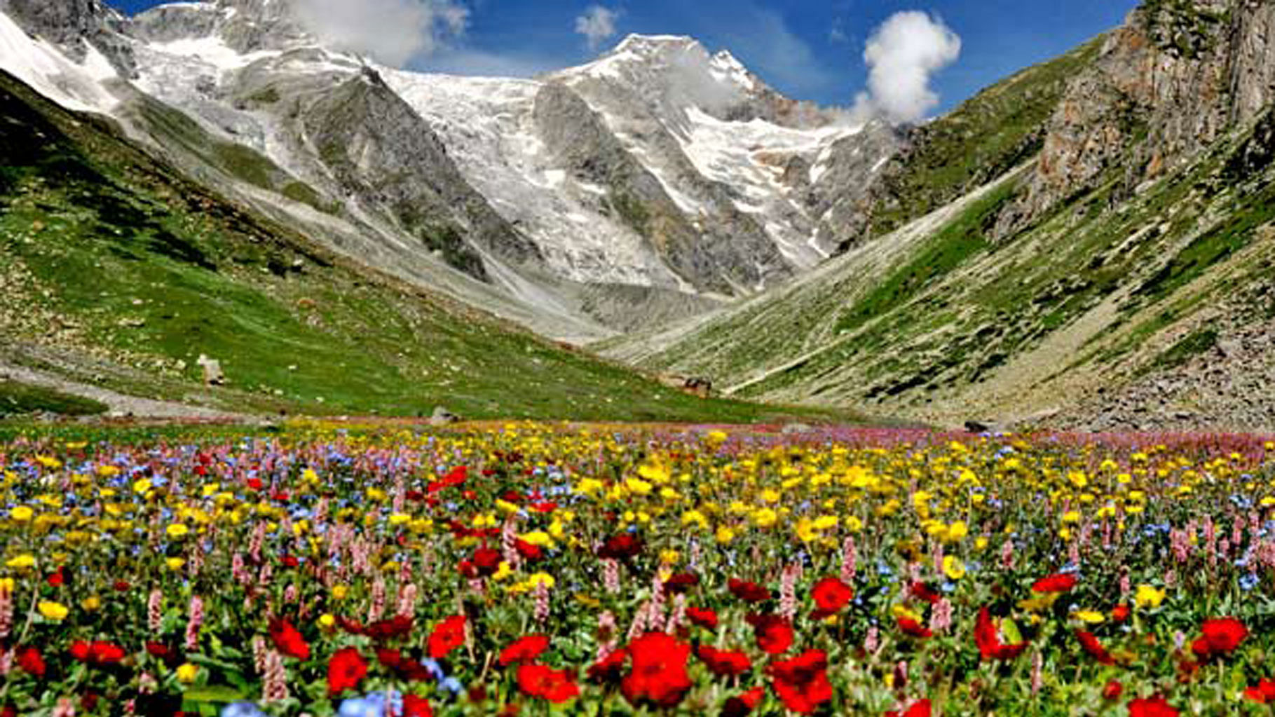 The Valley of Flowers National Park will open to tourists from Wednesday. (Photo Courtesy: <a href="http://www.trekkinginuttarakhand.com/img/valley-of-flowers-trek.jpg">www.trekkinginuttarakhand.com</a>)