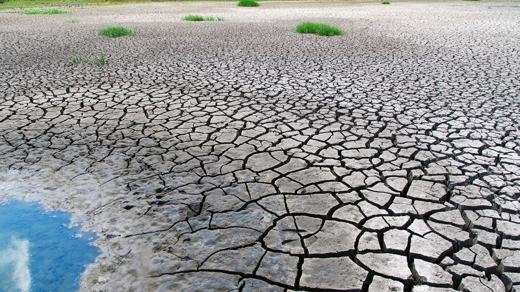 Many parts of the world are reeling under drought, and if they aren’t already, they will very soon. (Photo: iStockphoto)