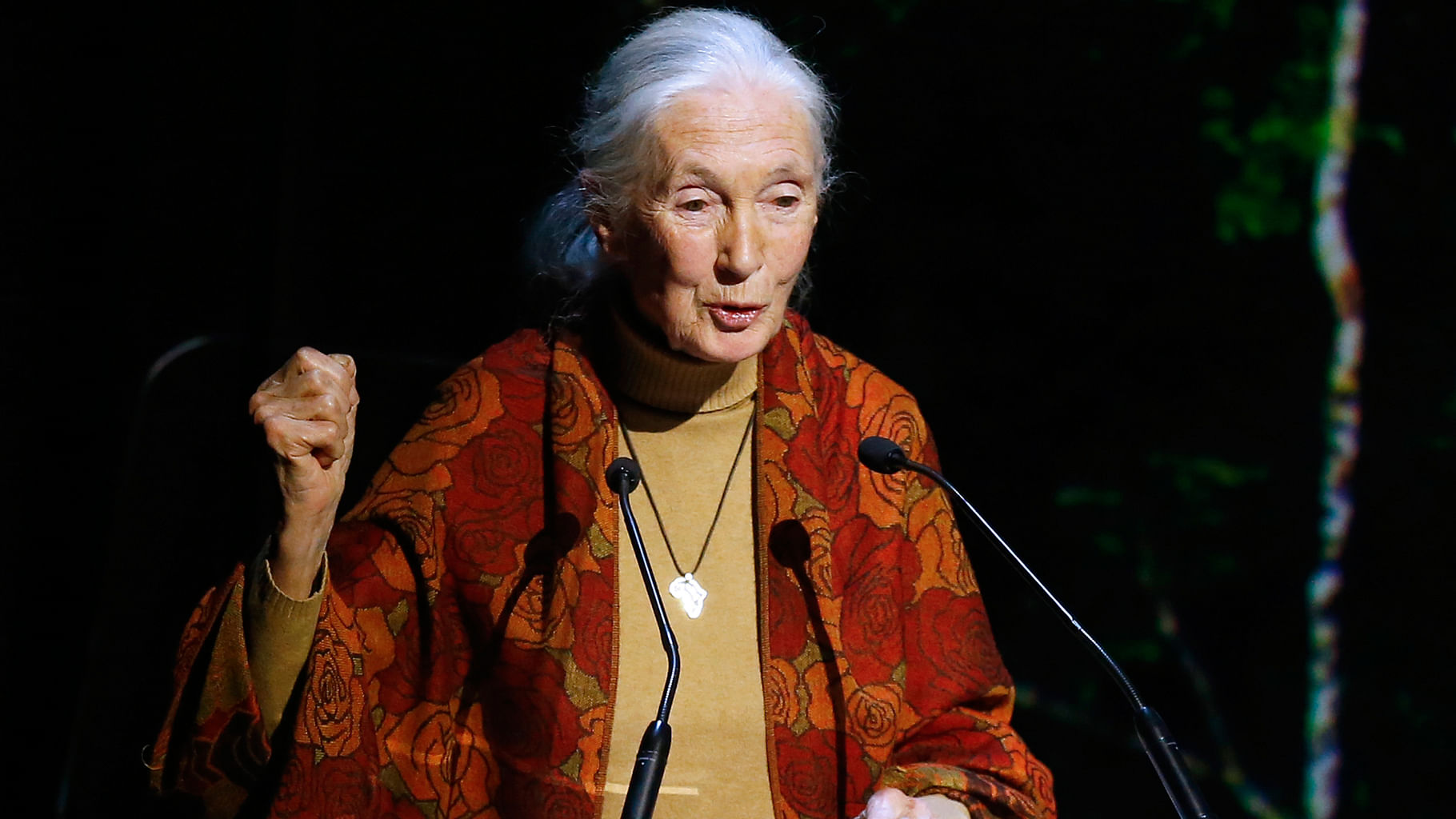 File photo of Dr Jane Goodall delivering a speech. (Photo: AP)