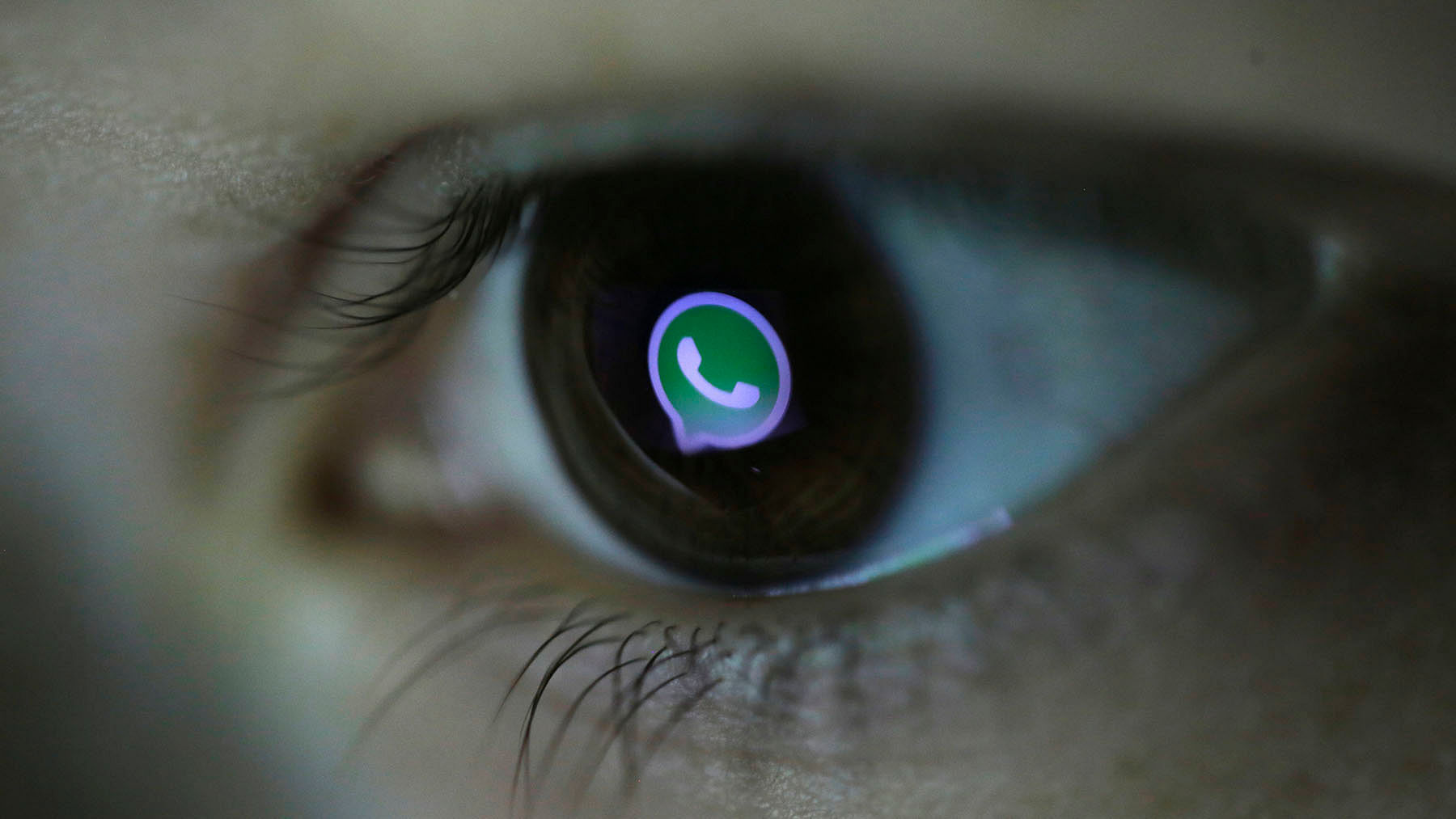 

WhatsApp has over 800 million monthly active users. (Photo: Reuters)