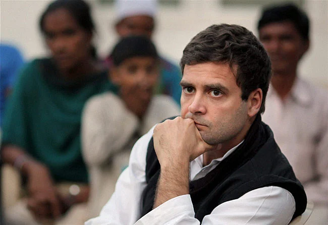 Congress Vice President Rahul Gandhi. (Photo: PTI)