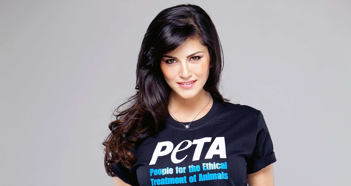 Sunny Leone has a message for animal abusers. Send us your reactions. #DontBeABeast. Join The Quint’s campaign.