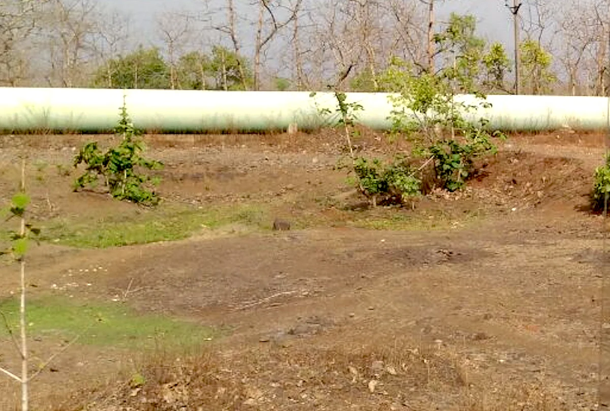 The concrete pipe carrying water to the Shipra from the Narmada. (Photo: Soumya Sarkar)