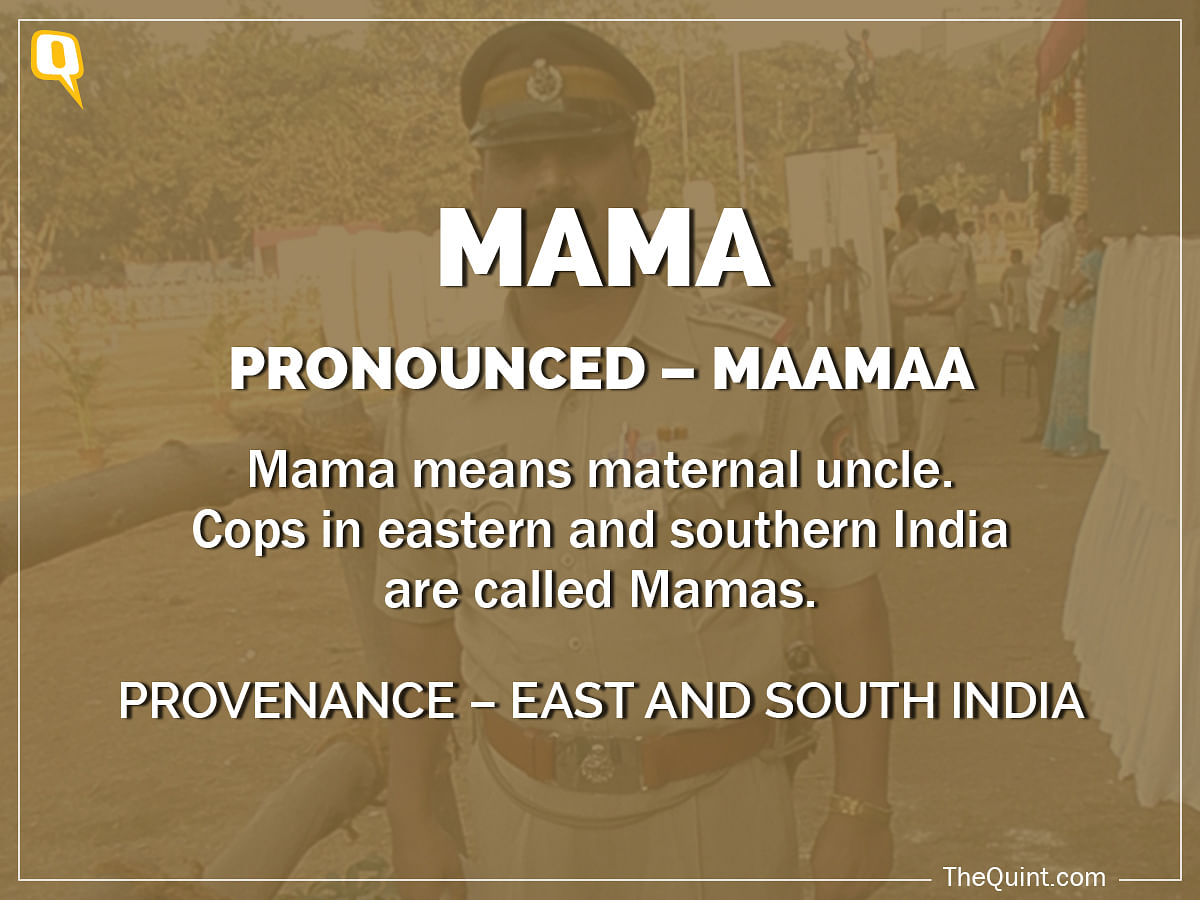 The Delhi CM used the word ‘thulla’ to refer to the police. Here’s a look at some other slang words used for cops.