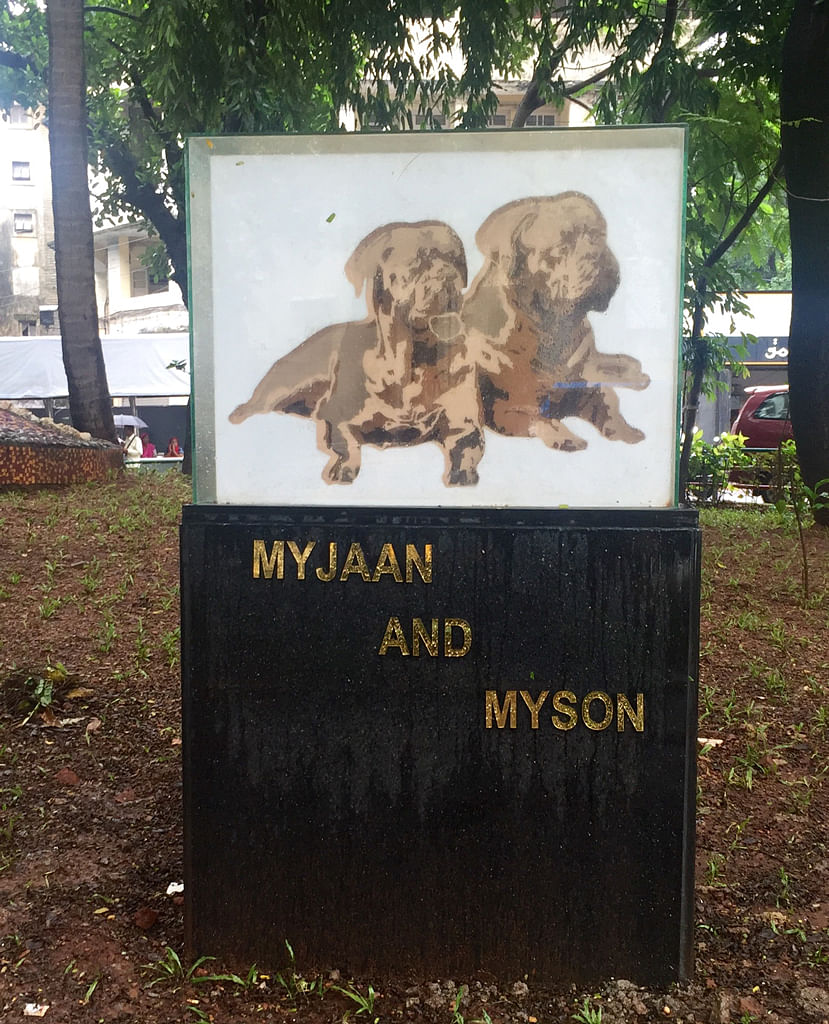 A personal memorial to Khan’s dogs has been erected in a public garden. The twist? No one knows who allowed it.