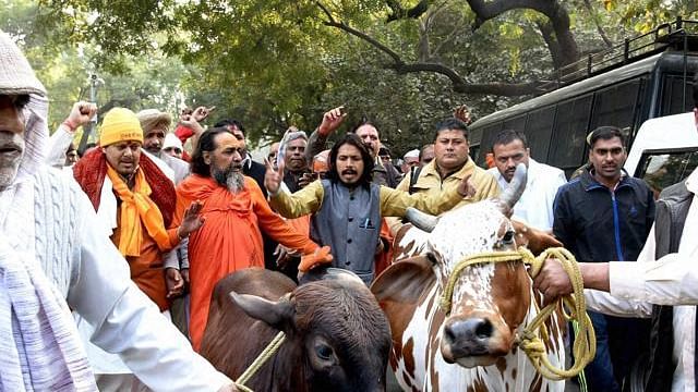 

Human Rights Watch Demands India Prosecute Attacks Over Cows 