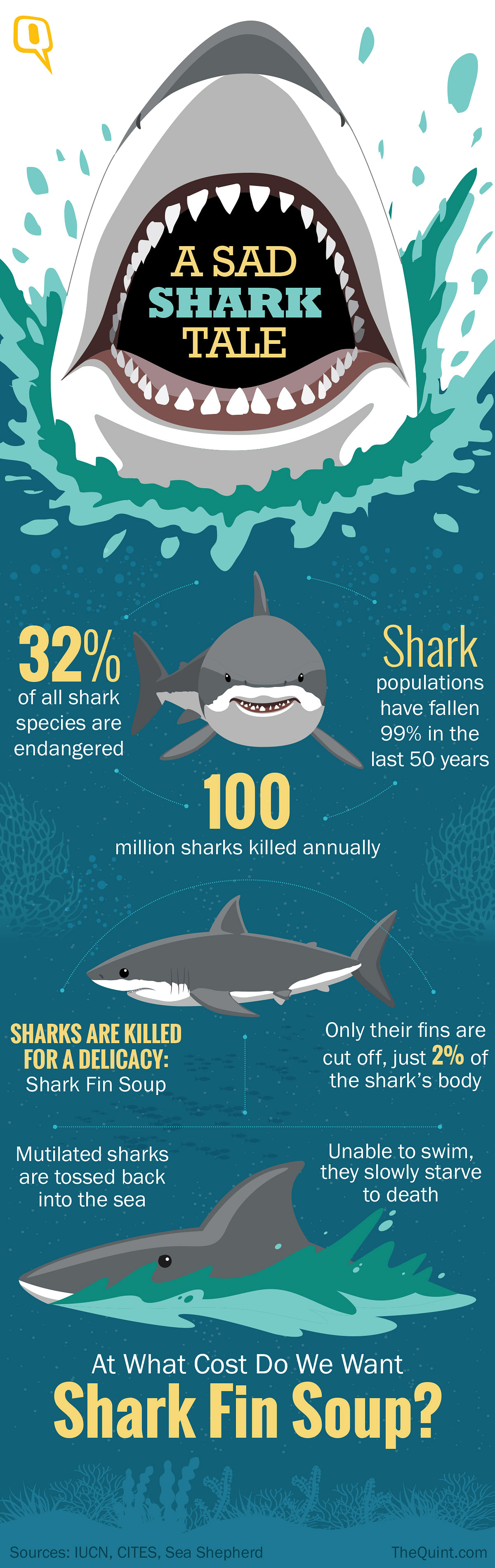 In cruel and unnecessary deaths, more than 100 million sharks are killed annually by human activities.