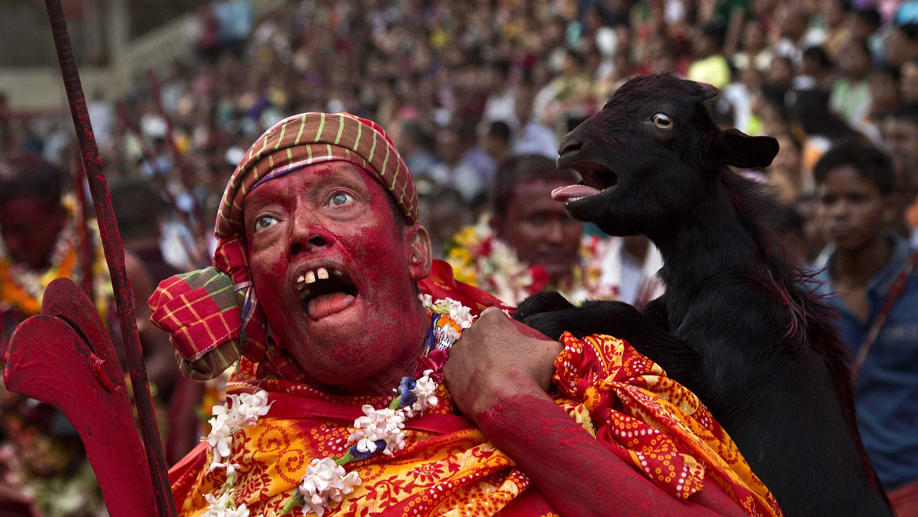 A priest, face smeared with colour and sacrificial blood, carries a goat over his shoulder for sacrifice during the Deodhani festival at the Kamakhya temple in Guwahati.  (Photo: AP Photo/ Anupam Nath)