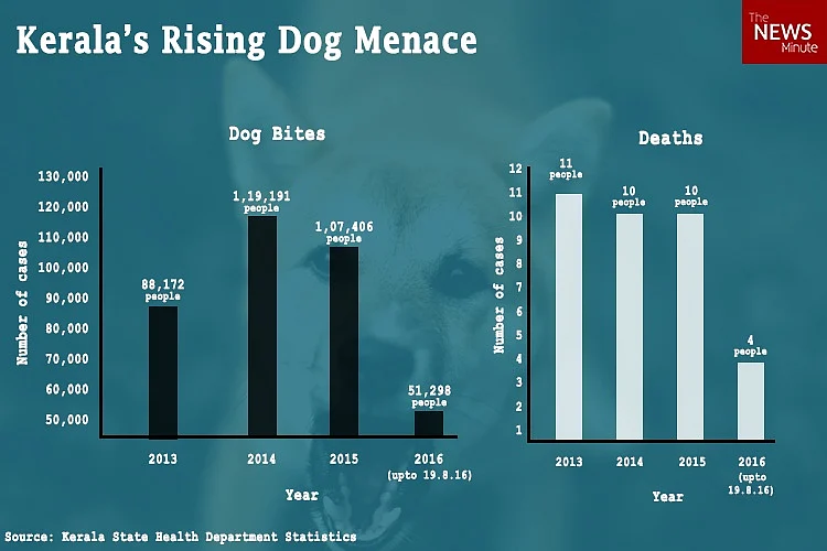Kerala IAS Officer Demands Culling of Dogs; Against Sterilisation