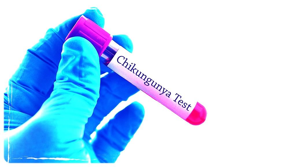 Chikungunya is merciless. One moment you’re fine and suddenly there’s 104-degrees fever and crippling joint pain.
