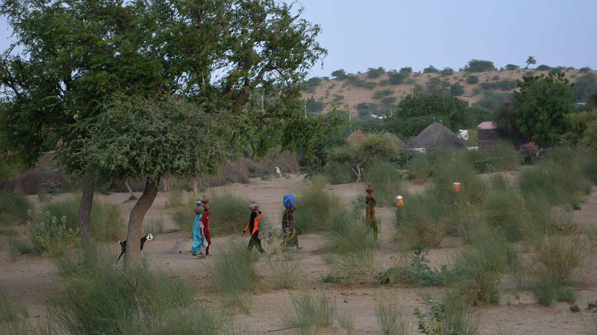 Most of the 1.6 million people who live in the Thar desert region  are highly vulnerable to extreme weather events.