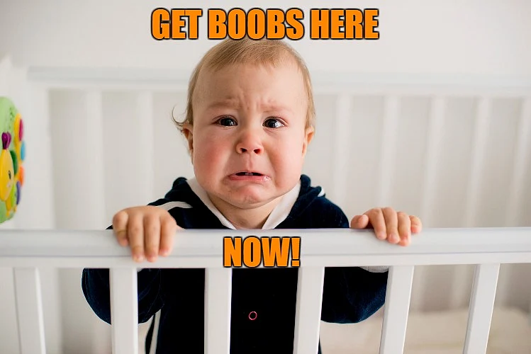 (Photo: iStock altered by<b><i> The Quint</i></b>)