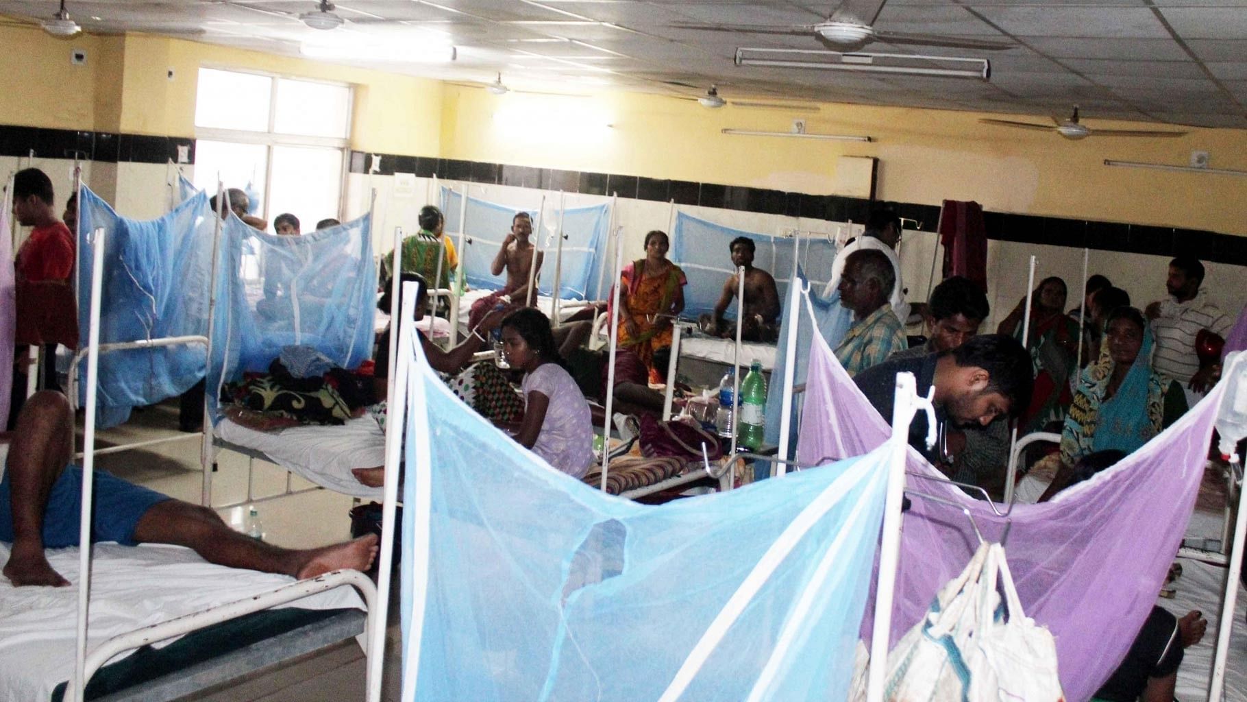 Dengue patients being treated at Shri Ramachandra Bhanj Medical Hospital in Cuttack, Odisha, on 15 July 2016. (Photo: IANS)