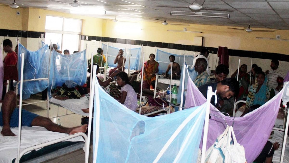 Chikungunya Cases in Delhi Rises  to 560, Municipal Report Shows
