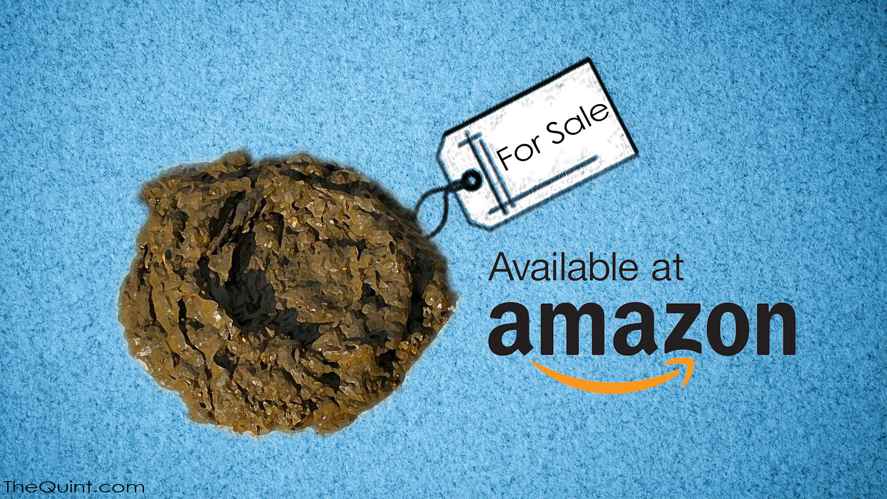 Cow Dung Cake on Sale on Flipkart, Amazon Sell: It Smells Like a Rose; Cow  Dung Reviewers on e-Commerce Sites