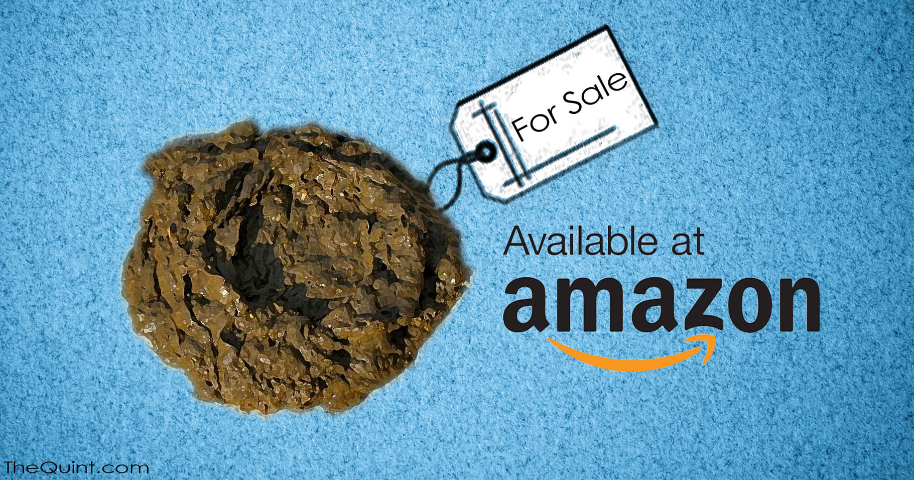 Cow Dung Cake & 6 even more bizarre items you didn't know were available  online!