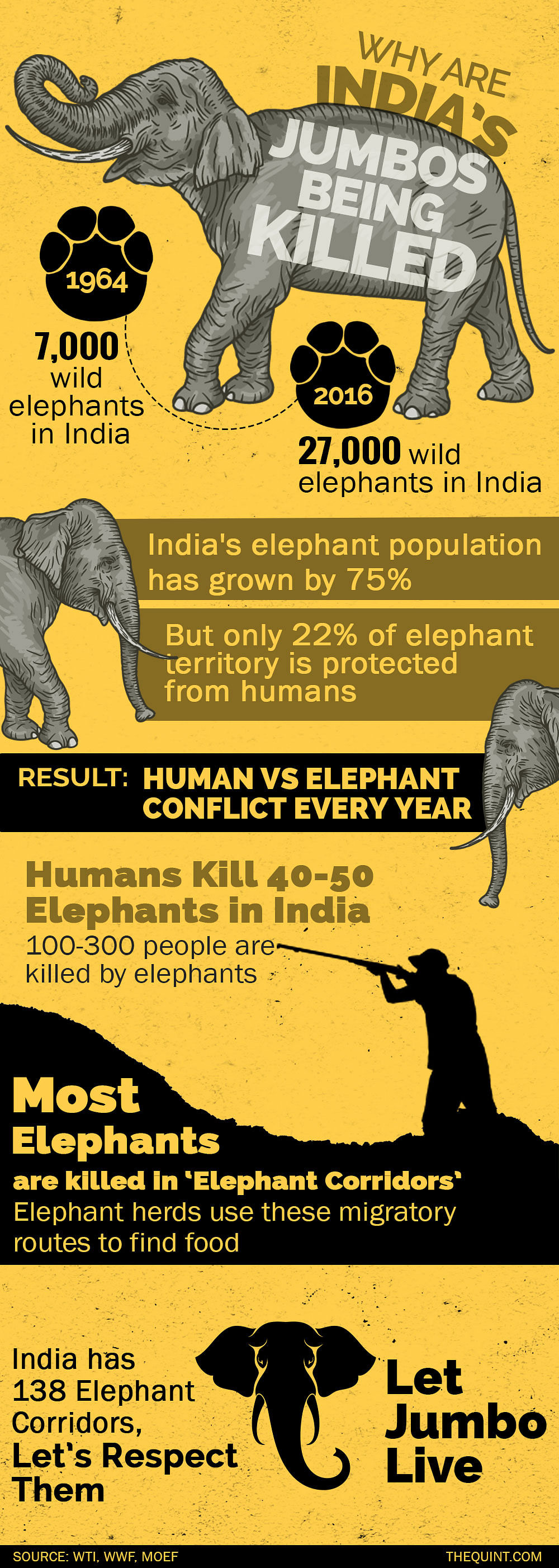 For World Elephant Day, we look at the relationship between wild elephants and people in their paths. 
