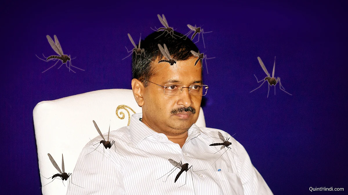 <i>Ek machhar, government ko denial mein daal deta hai!</i> (Photo: Altered by <b>The Quint</b>)