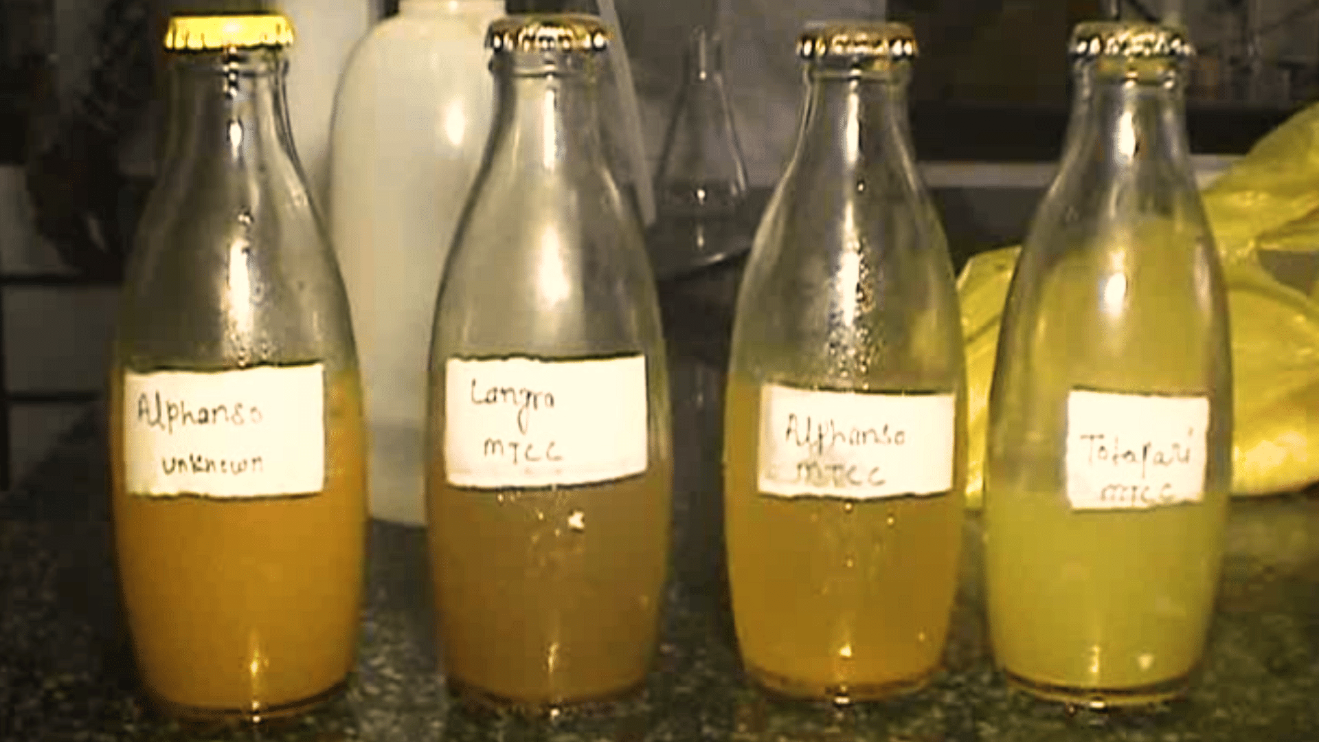 A team from Banaras Hindu University worked for six months to produce mango wine (Photo: The Quint)