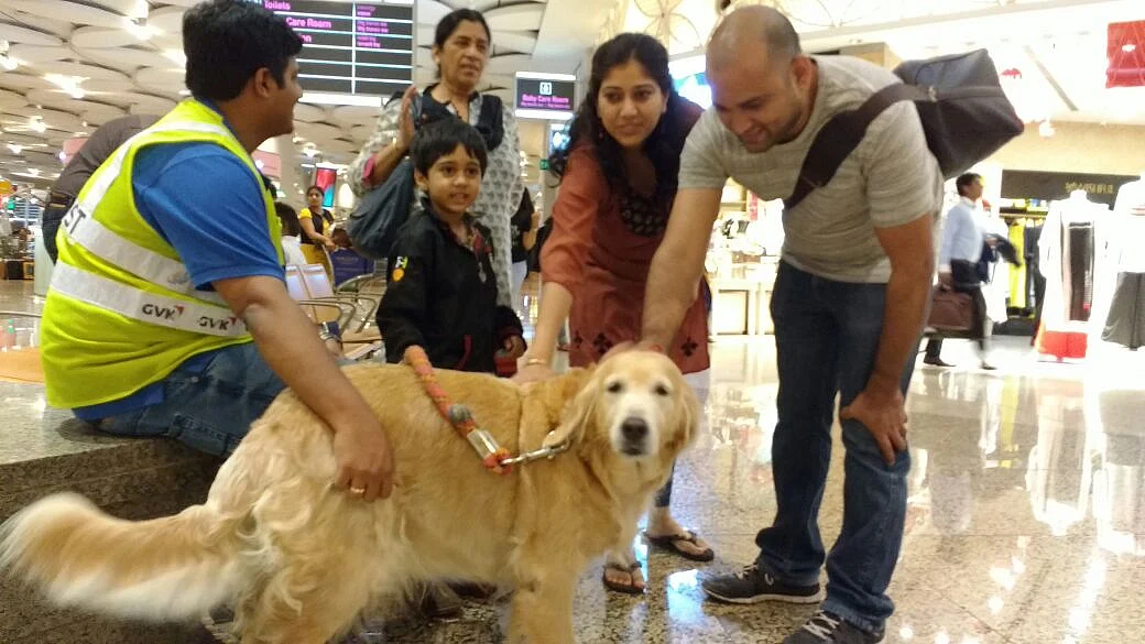 There are only two dogs present at a time with three caretakers. And people are simply lining up for hugs. (Photo Courtesy: Animal Angels Foundation/<a href="http://www.animalangels.org.in/">www.animalangels.org.in</a>)