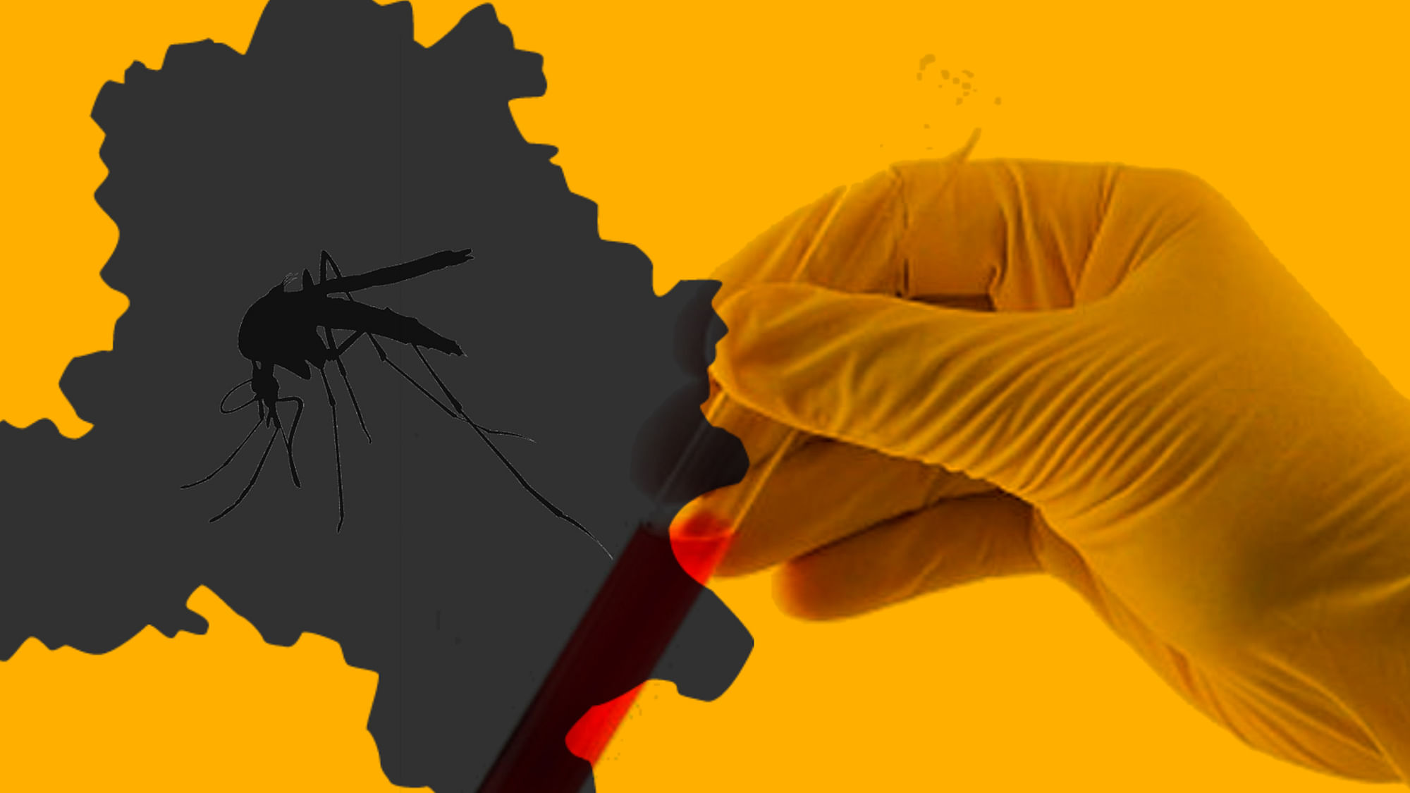 From sporadic cases of dengue in 1960s to widespread outbreak now – the scale of mosquito-borne diseases appears to be growing every year. (Photo: <b>The Quint</b>)
