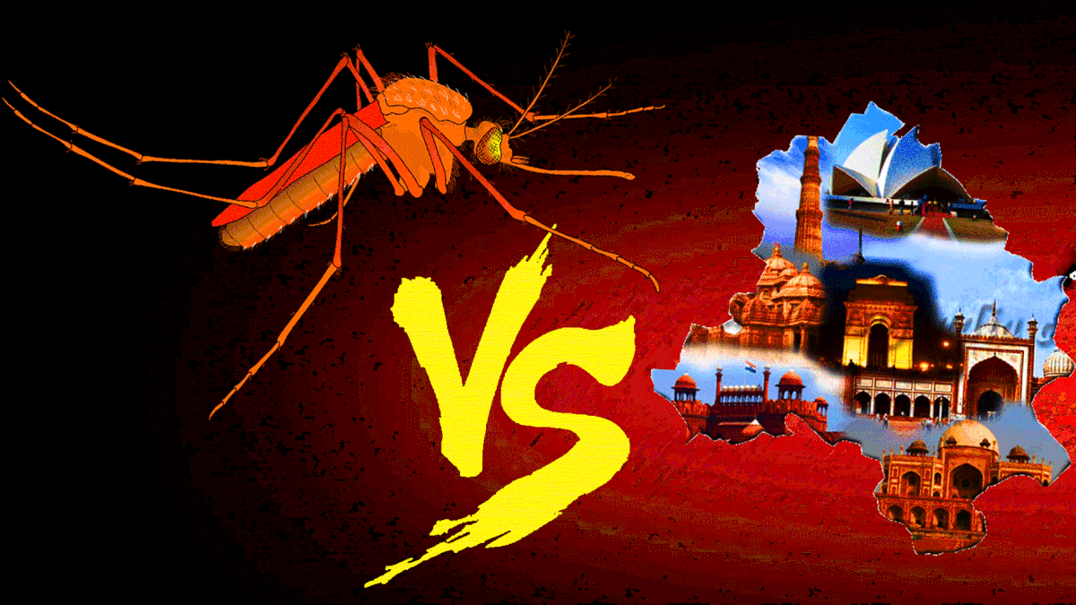 

In the Battle Against Mosquitoes, Why Does Delhi Always Lose?