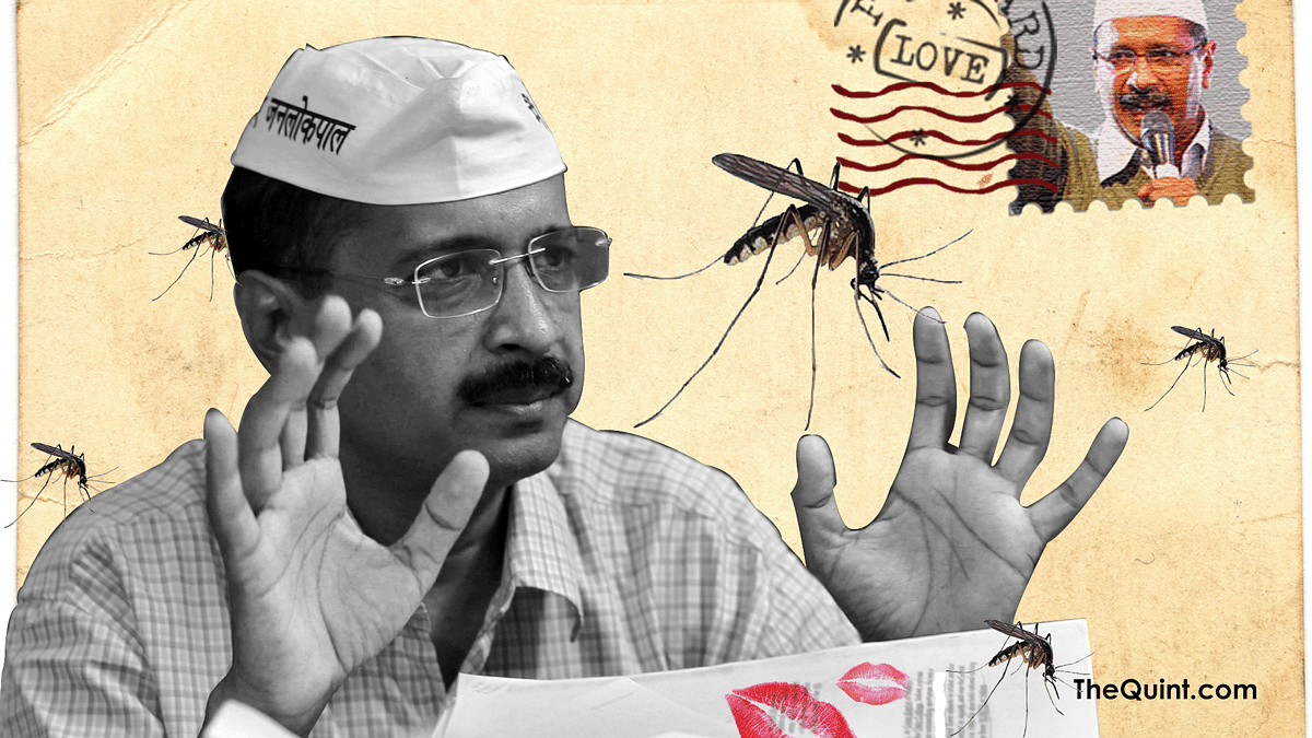 Will Delhi’s CM Arvind Kejriwal be able to handle the Dengue mess, and our postcard messages?  (Design: <b>The Quint</b>)