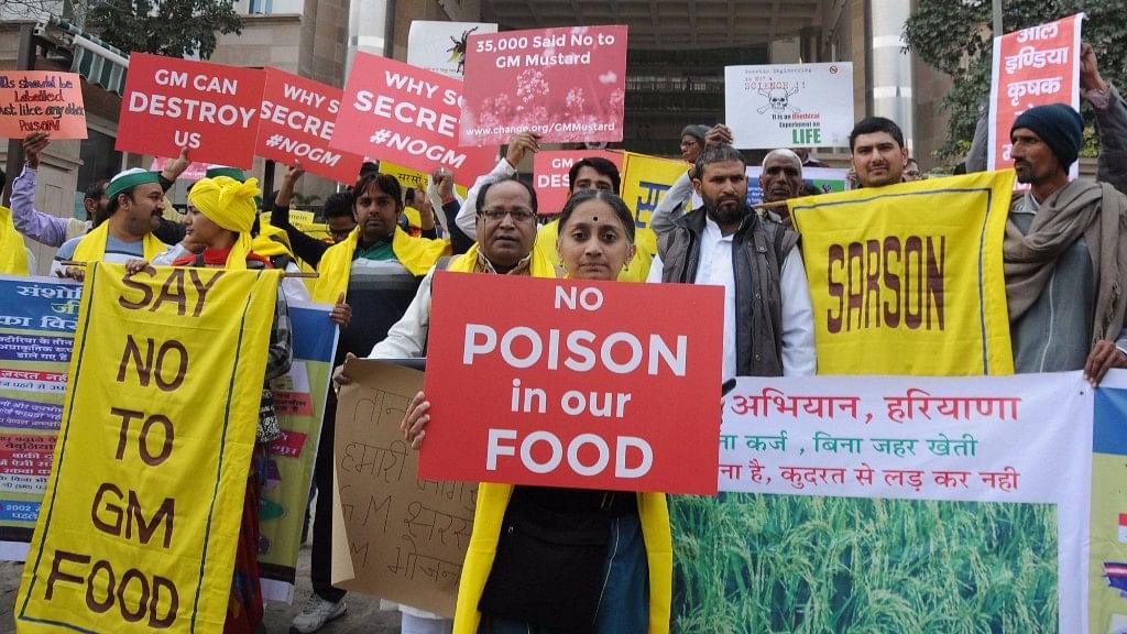 

Activists and farmers protest against GM mustard crop outside the Environment and Forest ministry in New Delhi on  5 February, 2016. (Photo: IANS)