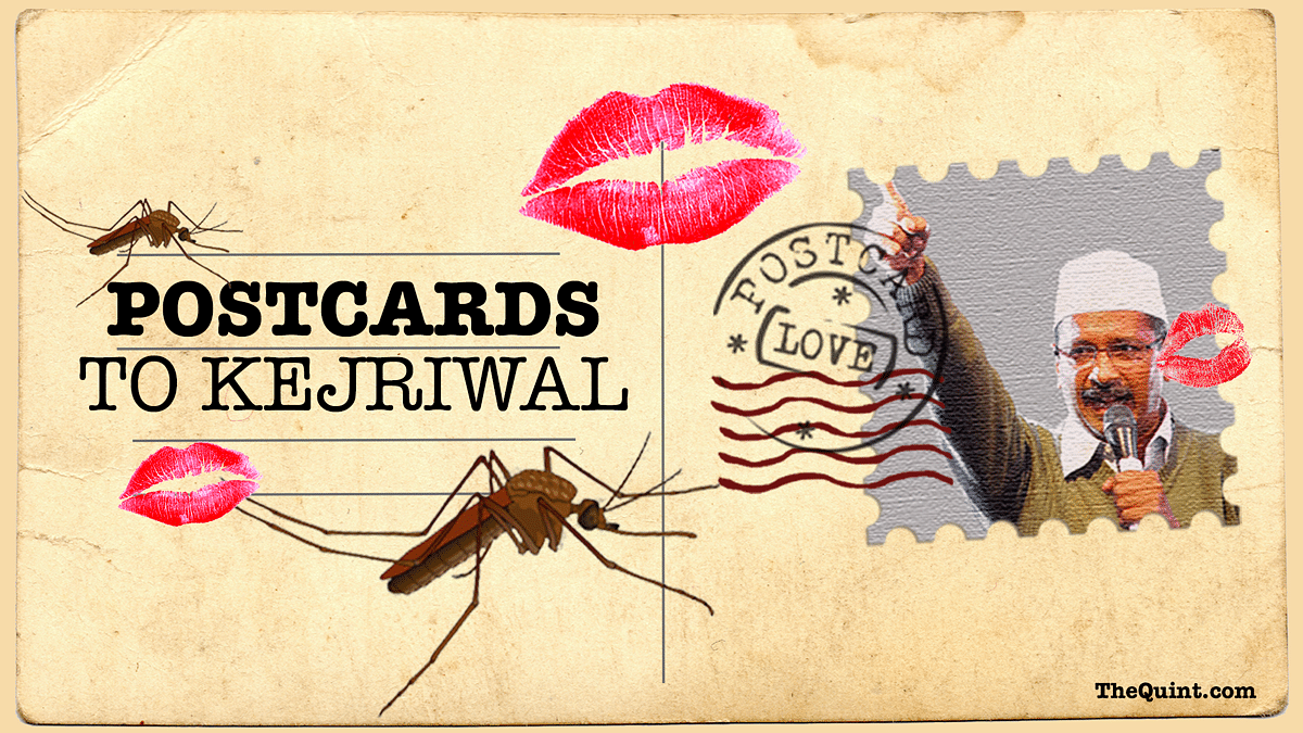 Will the AAP read these Postcards to Kejriwal? (Photo: <b>The Quint</b>)
