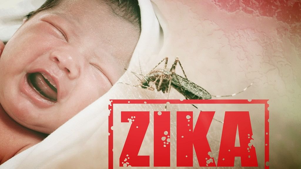 Disease predictions can be way off the mark in cases of new viruses. Also, no one knows how soon Zika might burn off or a vaccine might hit the shelves - so panic should be the last button India should press. (Photo: iStockphoto)